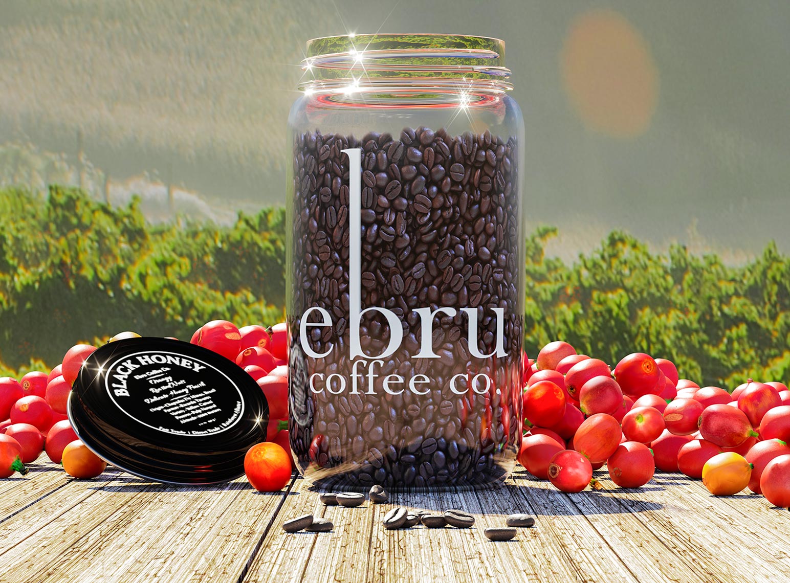 Ebru-Coffee-Field-web