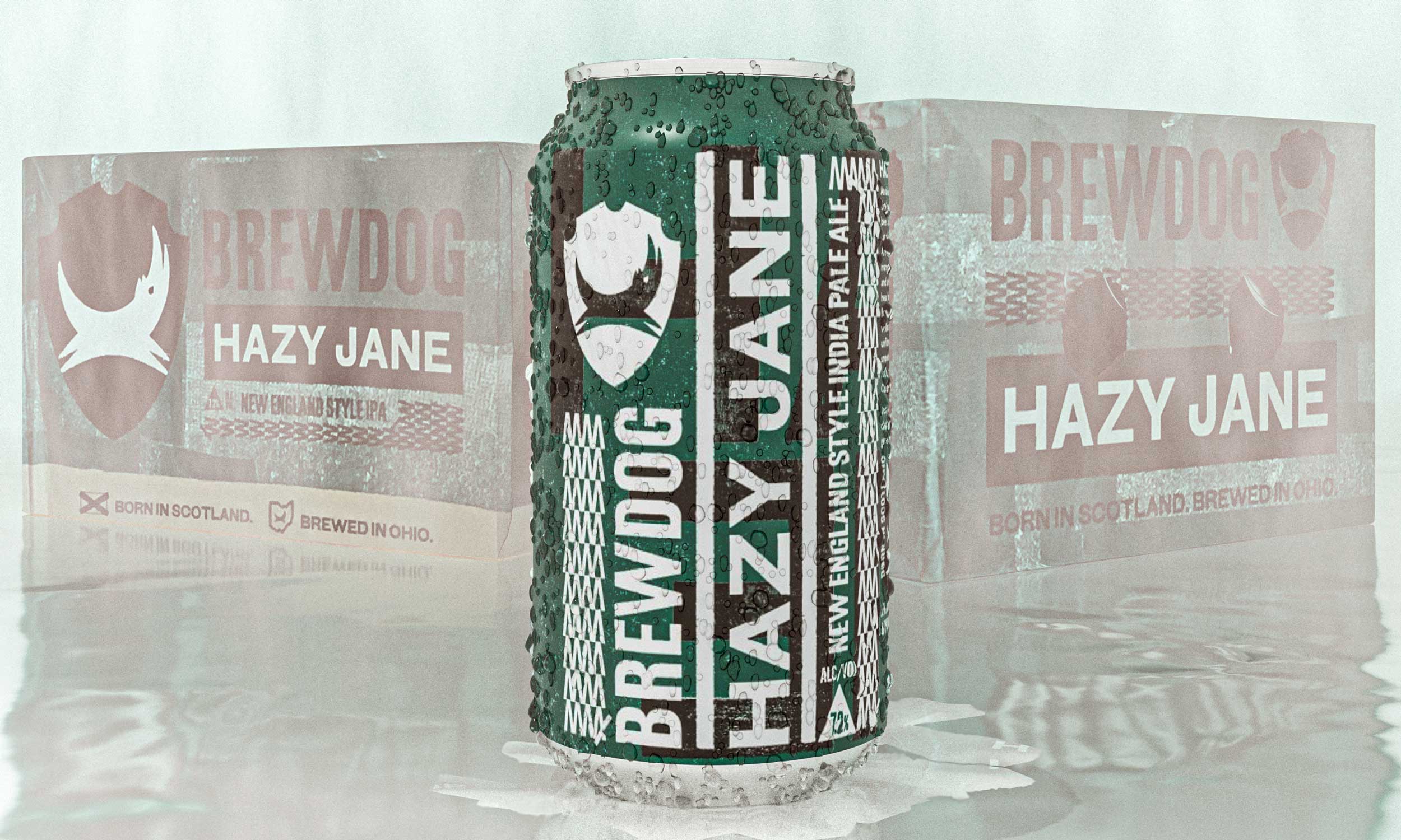 Hazy-Jane Brew Dogs IPA Beer